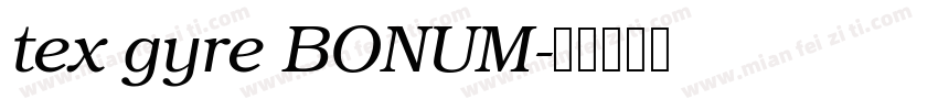 tex gyre BONUM字体转换